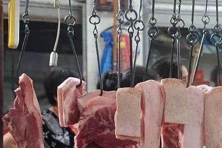 10块钱能买多少瘦肉
