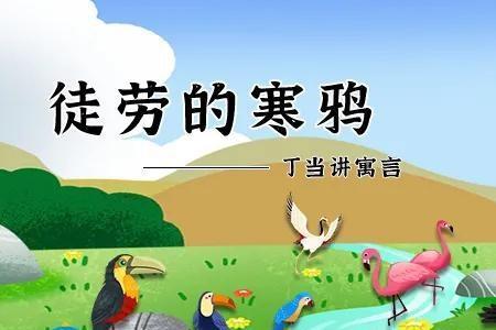 寒鸦好养吗