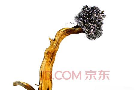 莫斯树不用椰壳片行吗