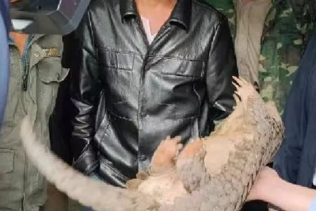 江西共有多少野生动物