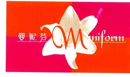 曼妮芬集团的介绍