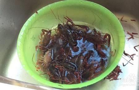 小一点的龙虾怎么处理