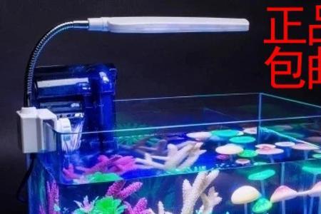 海水缸50方缸适合新手吗