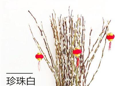 银柳和富贵竹一起是什么效果