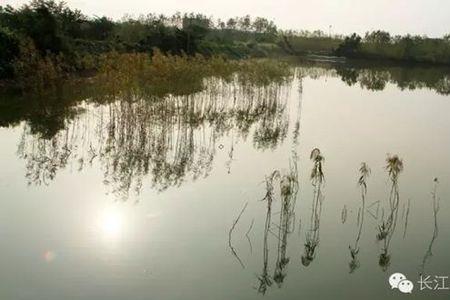 咸宁斧头湖开湖时间