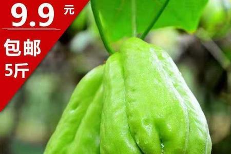 广州8月时令瓜菜