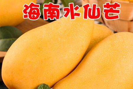 水仙芒和金煌芒哪个更贵