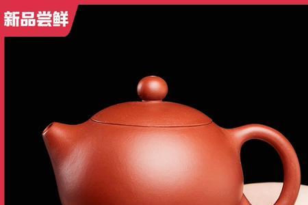 西施壶适合泡岩茶