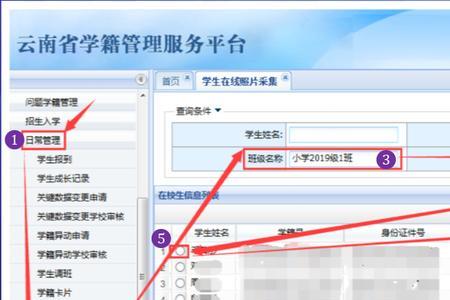 学籍系统中班号格式是什么