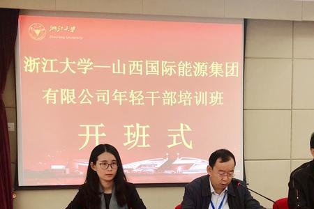 山西国际能源集团算什么性质的