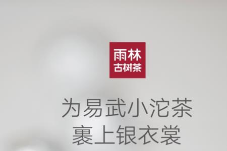 雨林古树茶什么级别