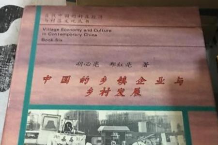 中国著名村办企业