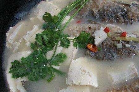 葛叶鱼怎么炖好吃