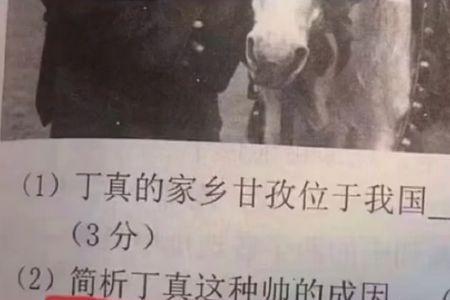 荒唐至极什么意思