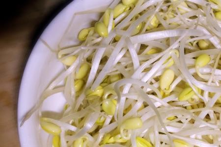 生黄豆芽需要压重物吗