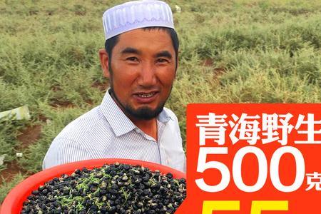 枸杞粤语发音
