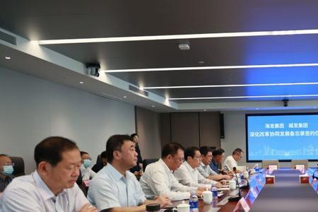 海化集团是国企还是私企