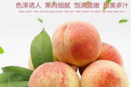 龙泉驿的水蜜桃哪个品种好吃