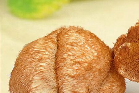 猴头是实心的还是空心