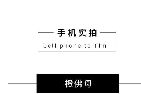 佛罗里达跳蛛能活多久