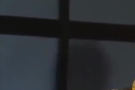 纪晓岚闹蝗灾第几集