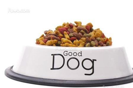 饥不择食是什么意思