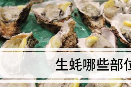 生蚝干一个星期吃几次