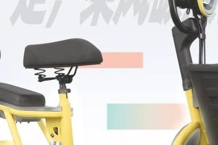 四川电动自行车排名