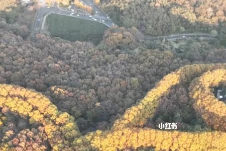 紫金山应潮井诗词