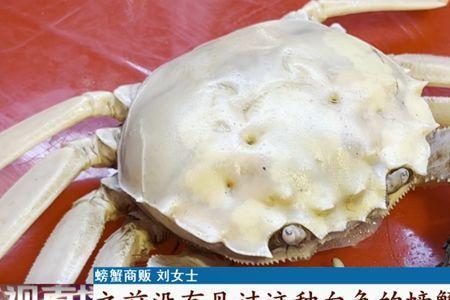 螃蟹里面白色透明的可以吃吗