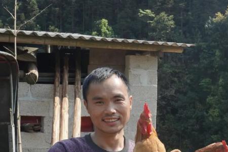 广西金凤凰的由来