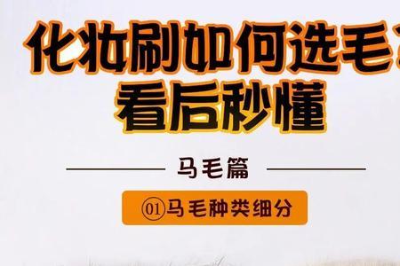 马毛和猪鬃毛哪个好