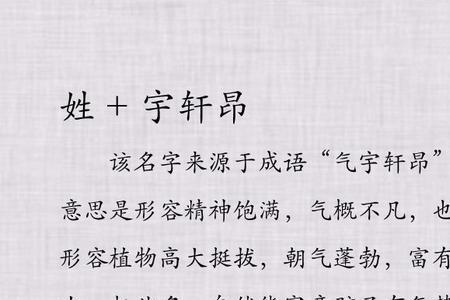 不什么宇什么的成语
