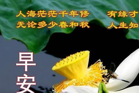 你似故人有缘来什么意思