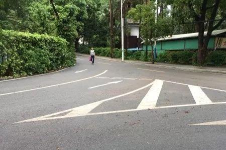 t字型路口红灯可以右转吗