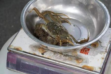 螃蟹焯水要多长时间
