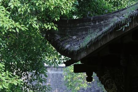 成了自己的屋檐什么意思