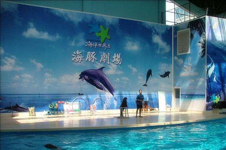 椒江海洋公园开放时间