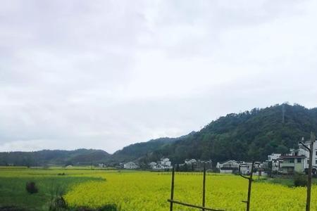 春风满面下一句