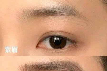 眉毛末端一个角是什么眉