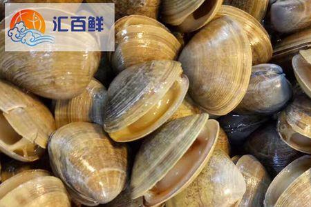 蚬子要推壳吗