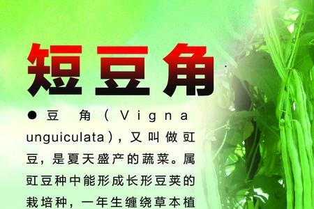 形容豇豆的词汇