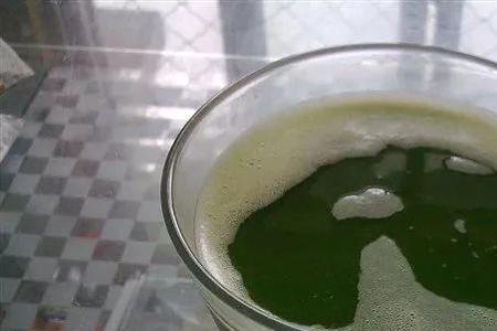白醋加白糖能杀菜虫吗