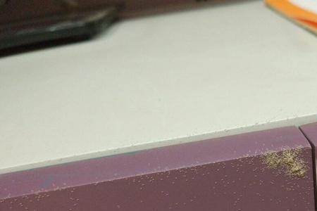 科技皮床有白色小虫是怎么回事