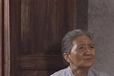 上海一家人若男认了她妈没