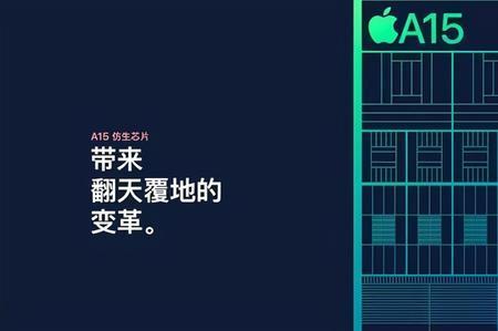 苹果13处理器在背面哪里