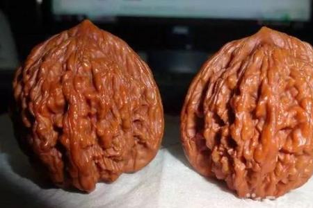 虎头核桃和麦虎核一样吗