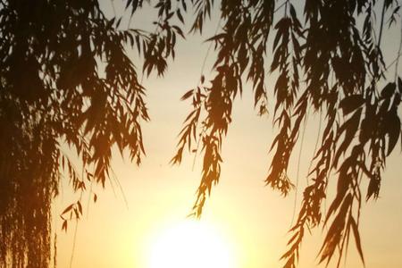 夕阳一点红如豆的全诗