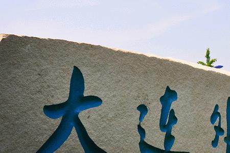 为什么大连的高校很多