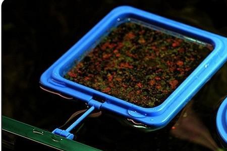 小鱼喂食器怎么用